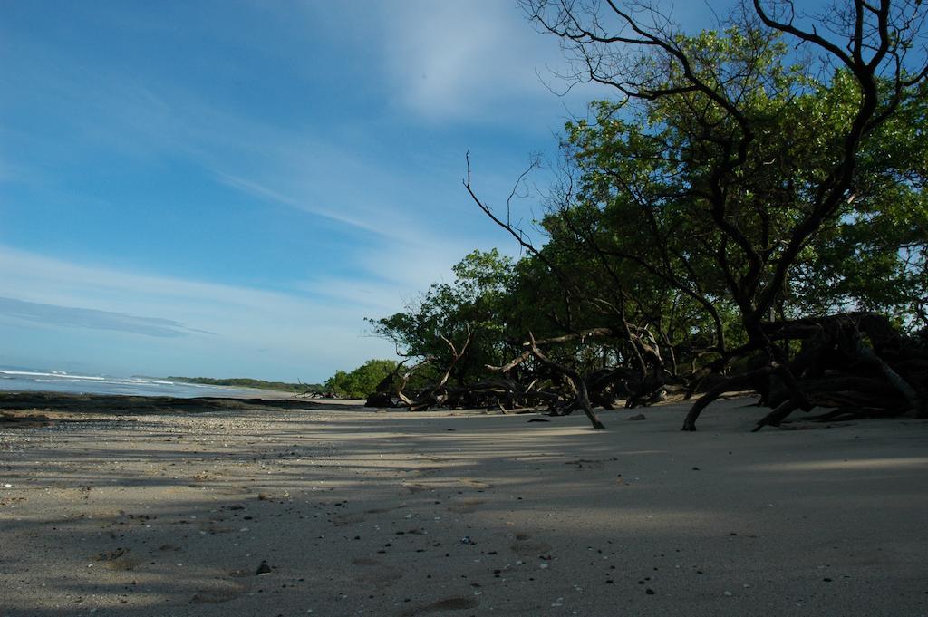 Cabinas Las Olas Playa Avellana Luaran gambar